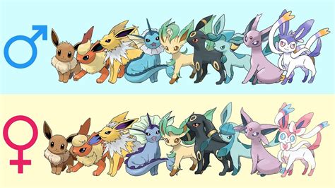 what does chloe's eevee evolve into|eevee evolutions gender difference.